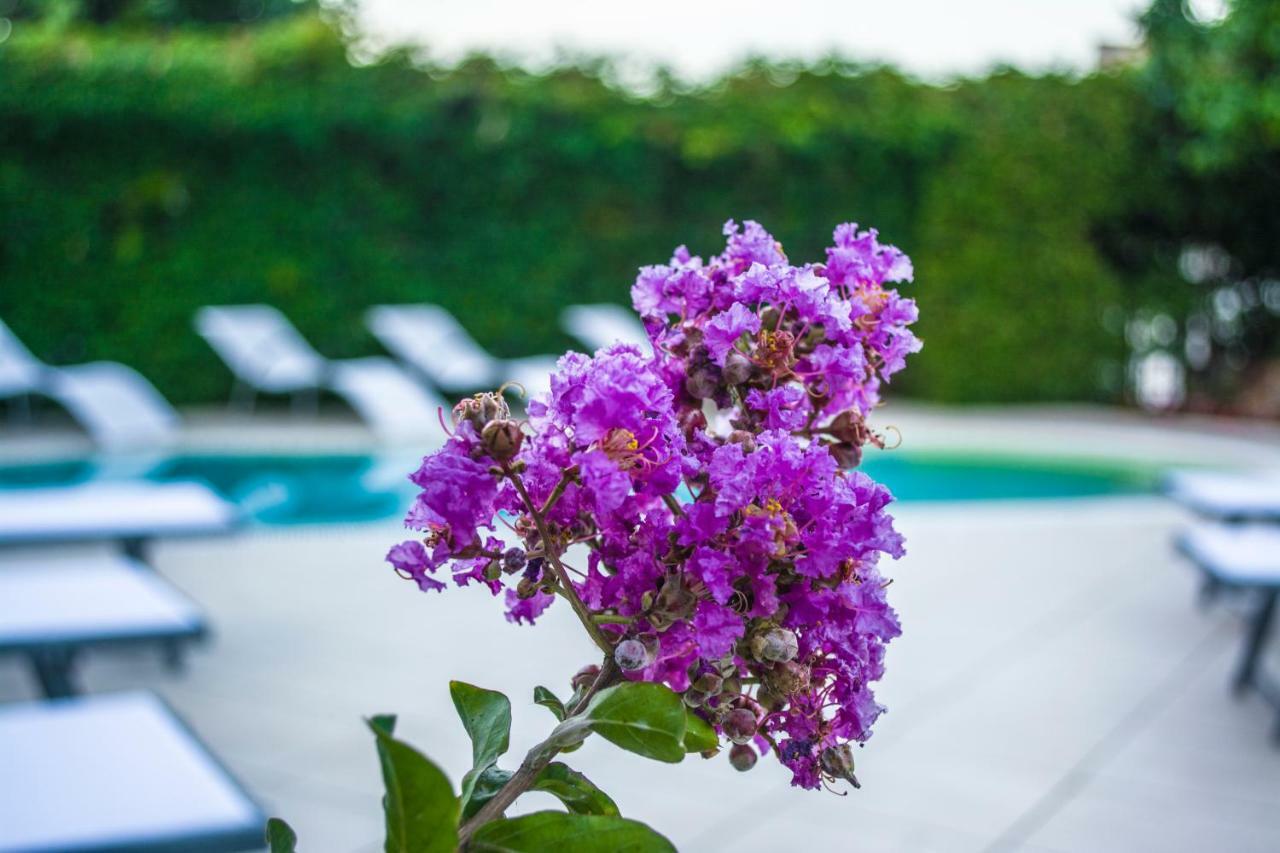 Villa Marylu' Ischia Luaran gambar